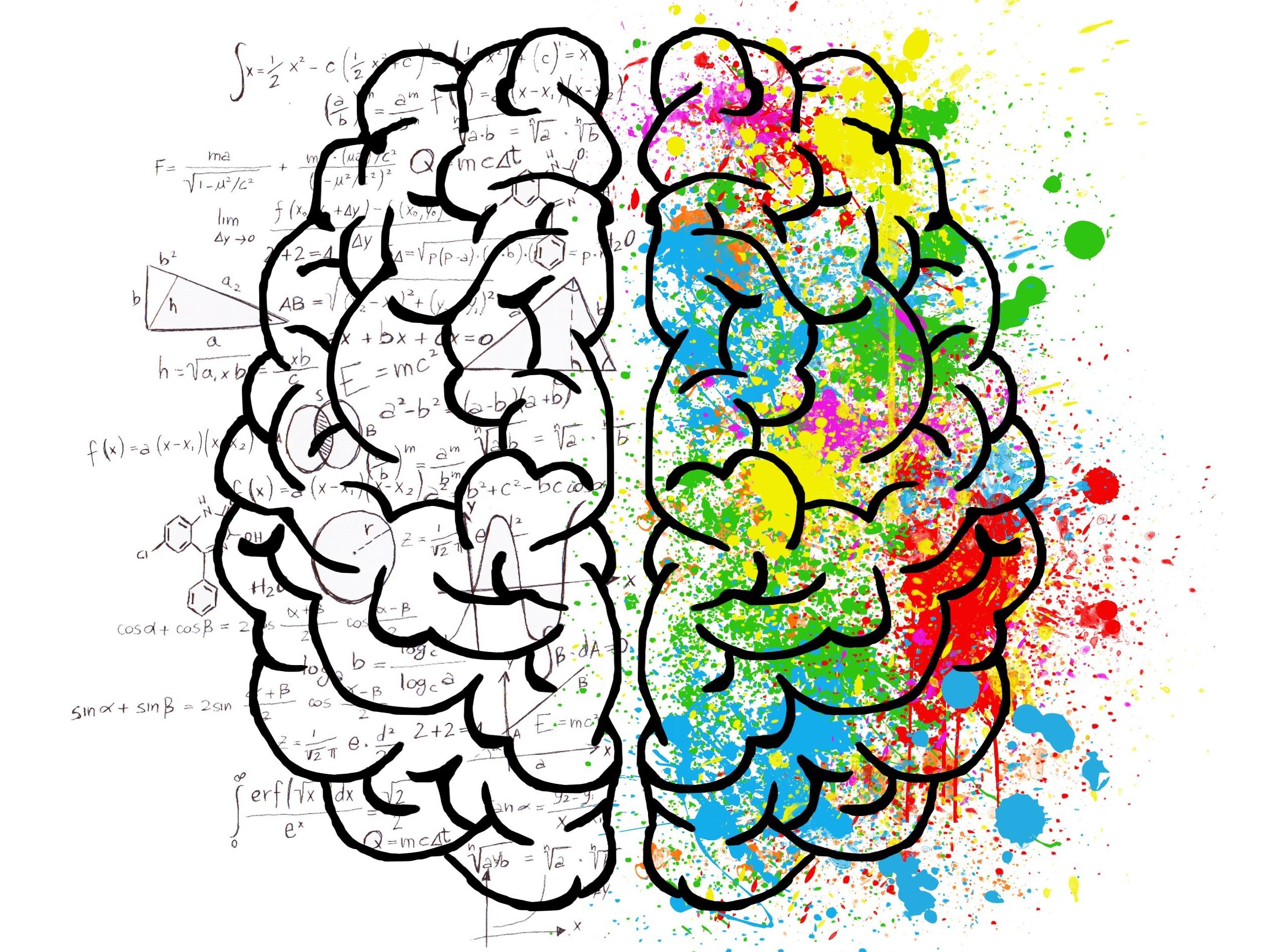 Sınıfın Ötesinde: Sınav Kaygısını Yaşam Boyu Süren Bir Döngü Olarak Anlamak